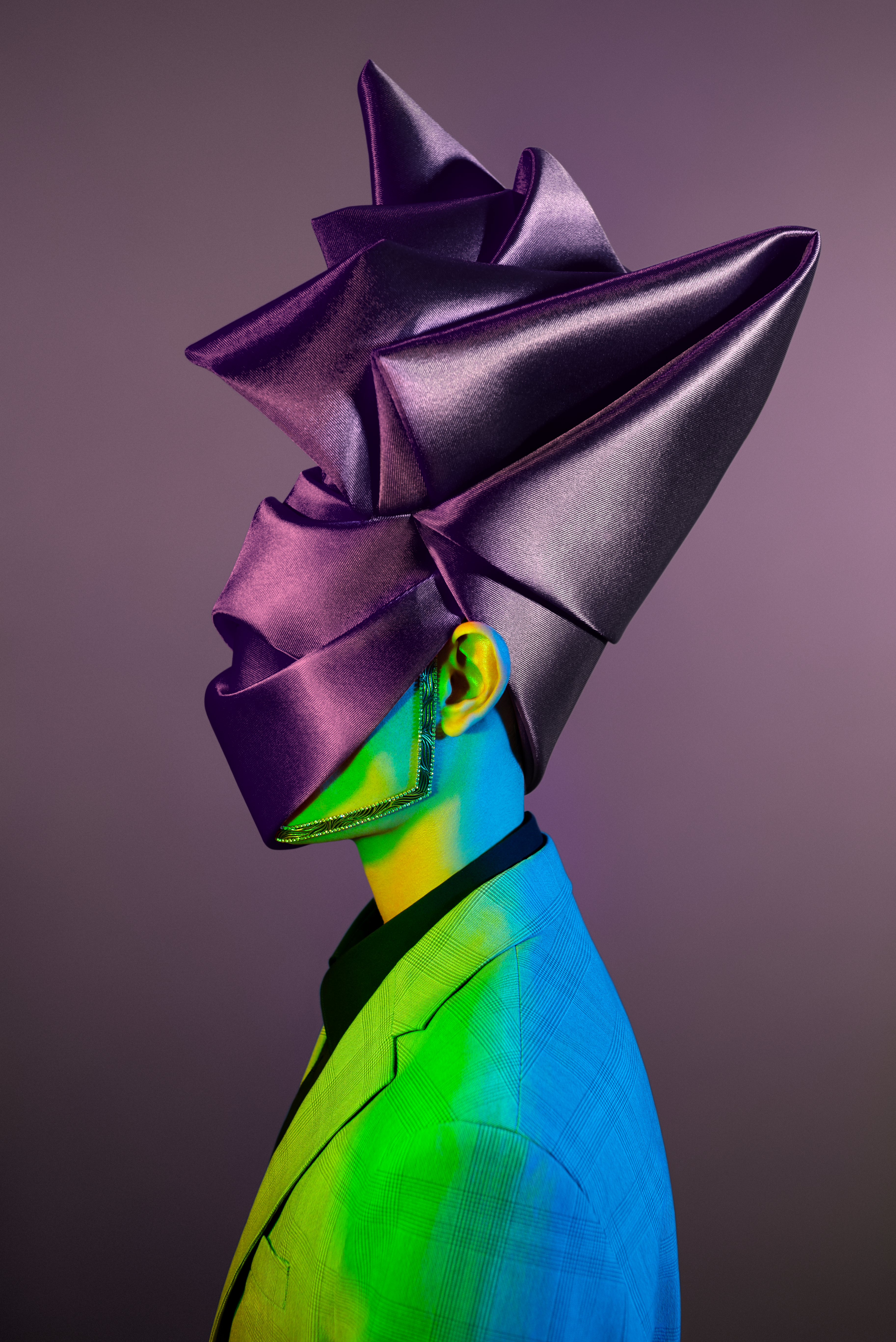 METAMORPHOSES #1209
