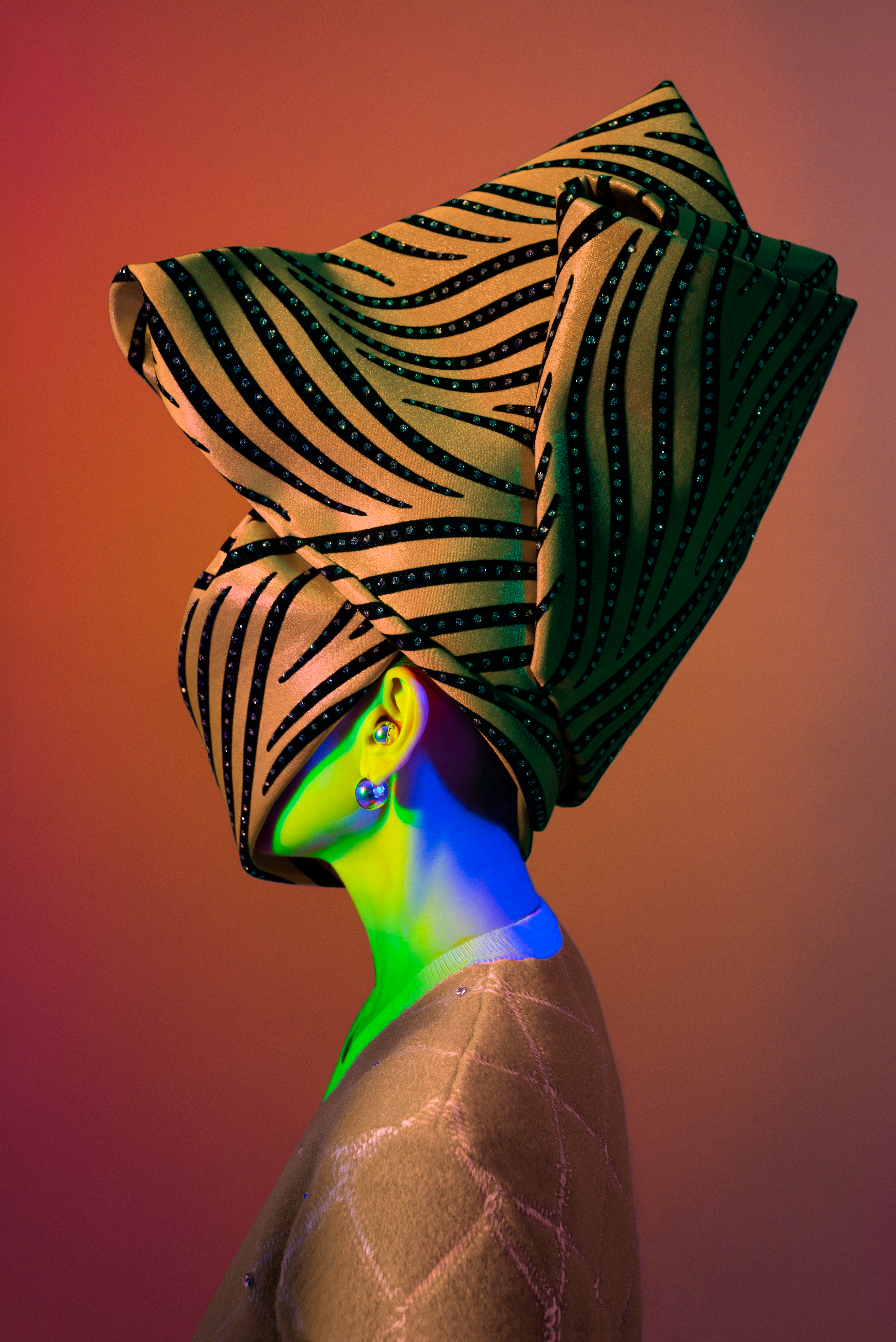 METAMORPHOSES #0122