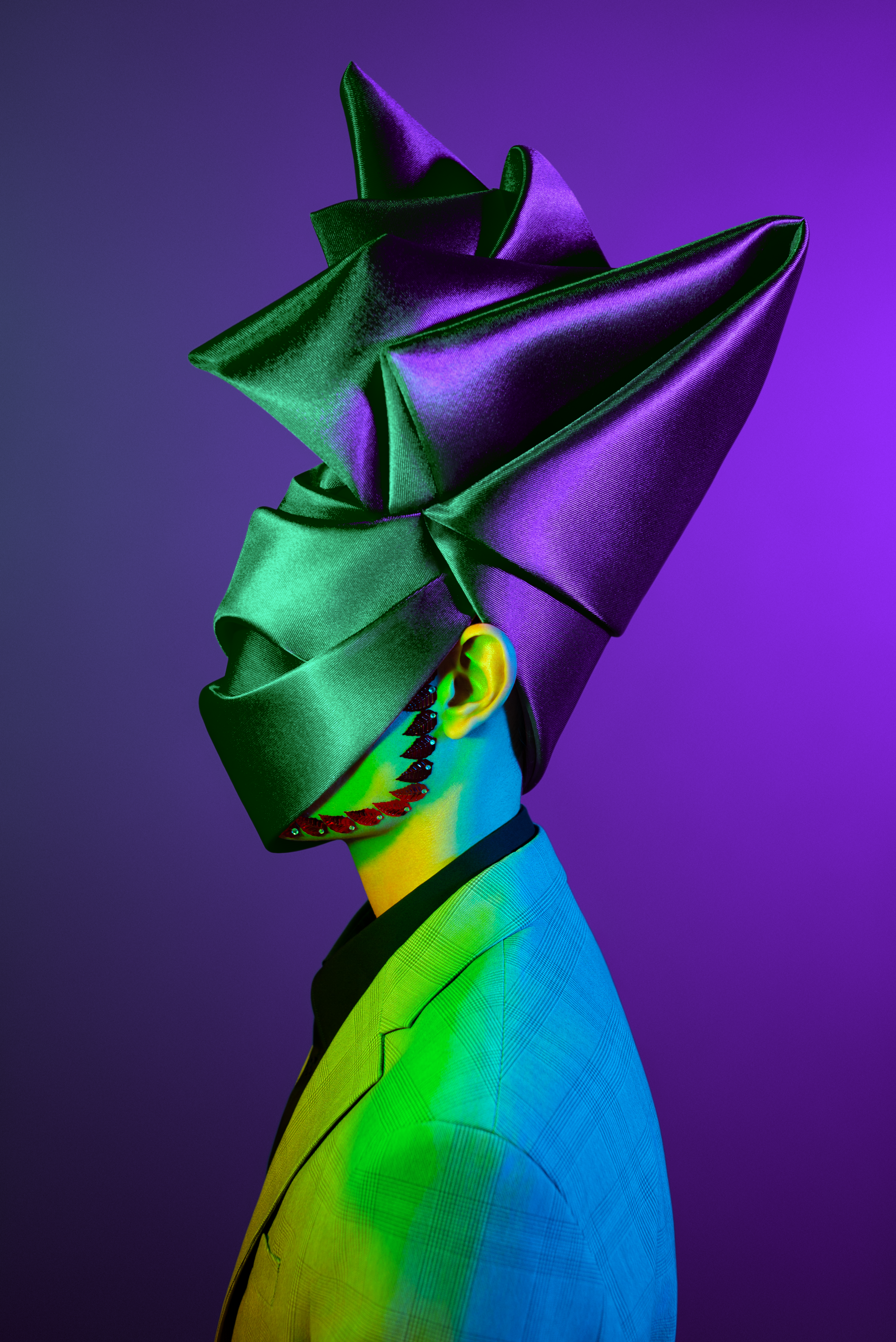 METAMORPHOSES #1224