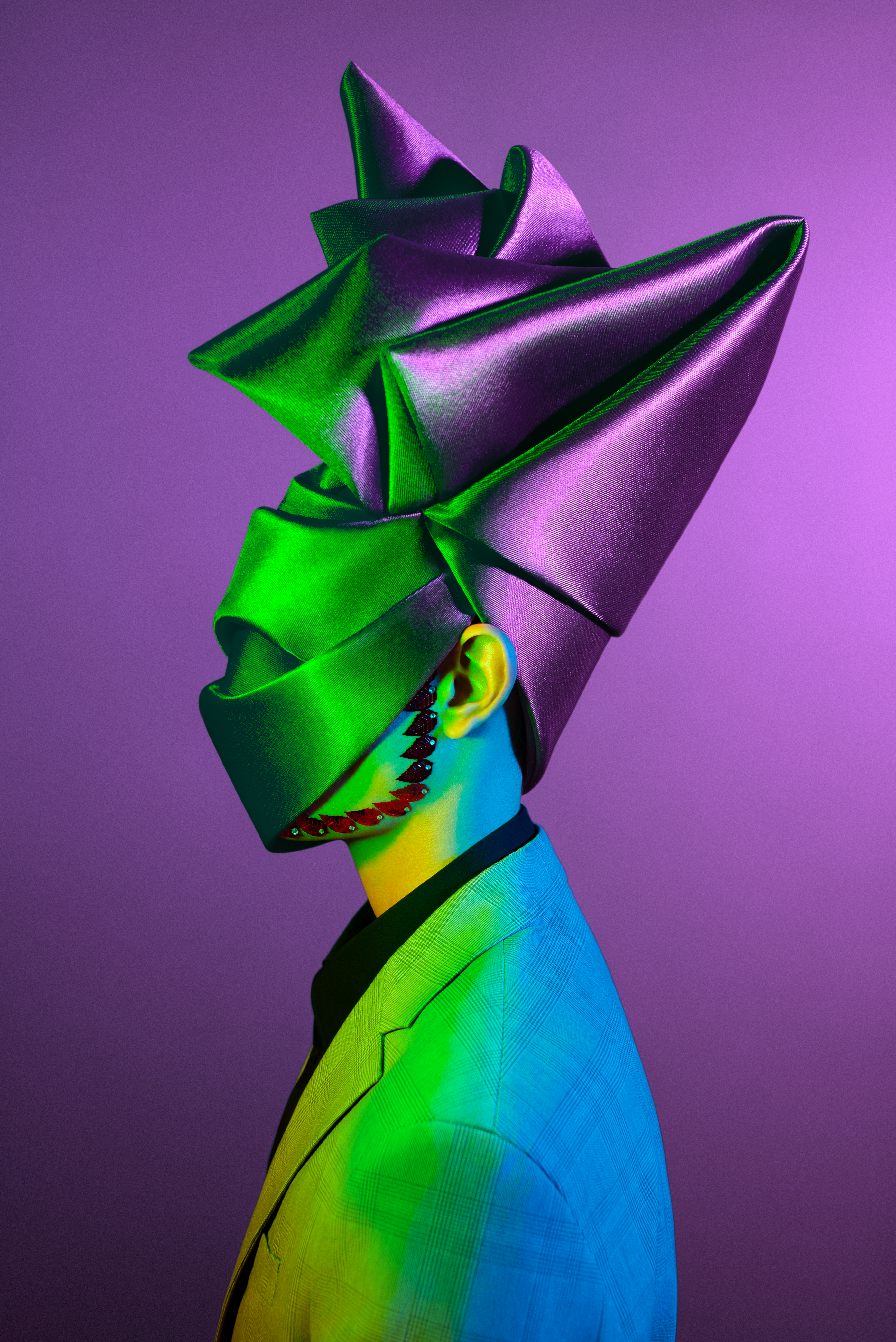 METAMORPHOSES #1229