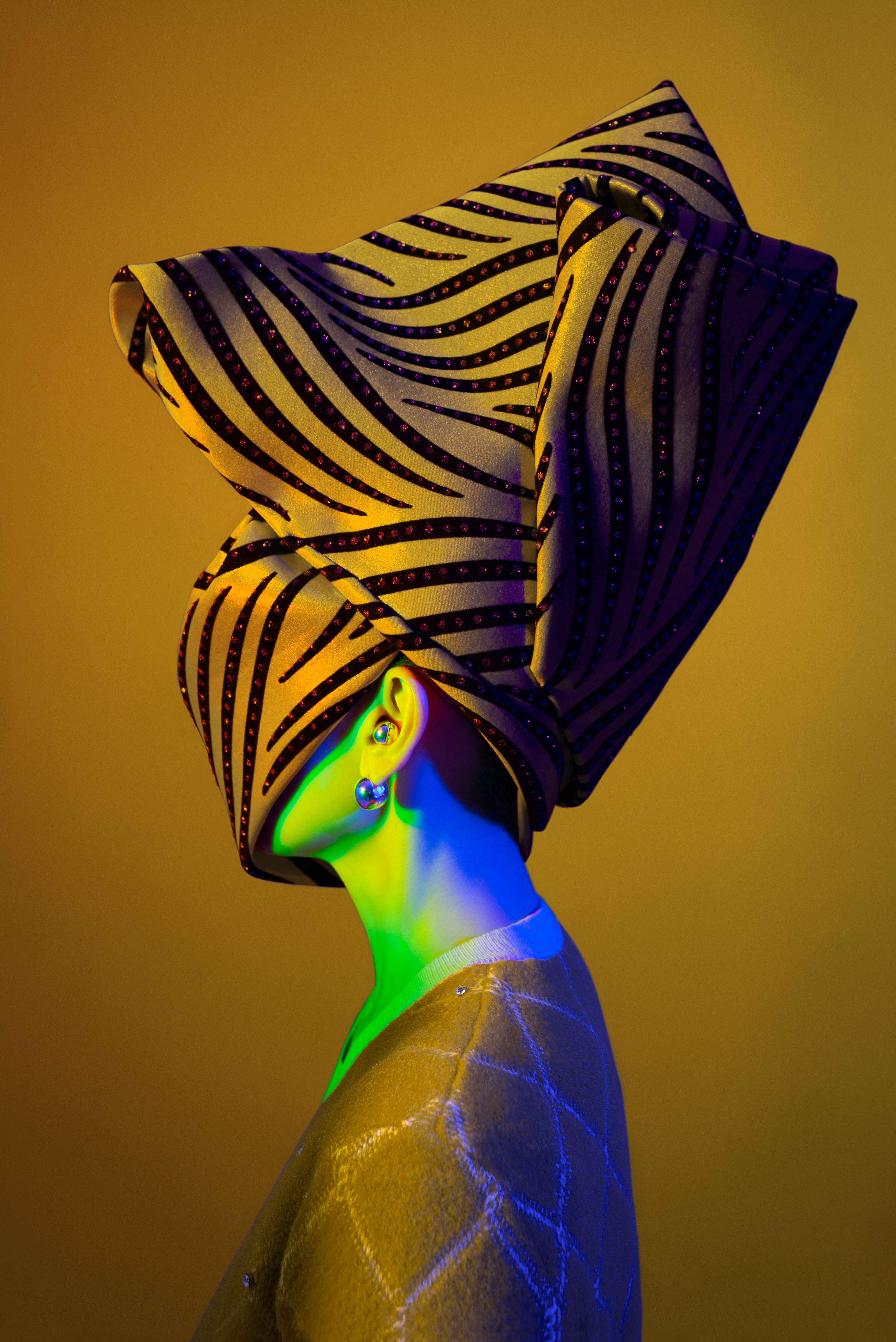 METAMORPHOSES #0139