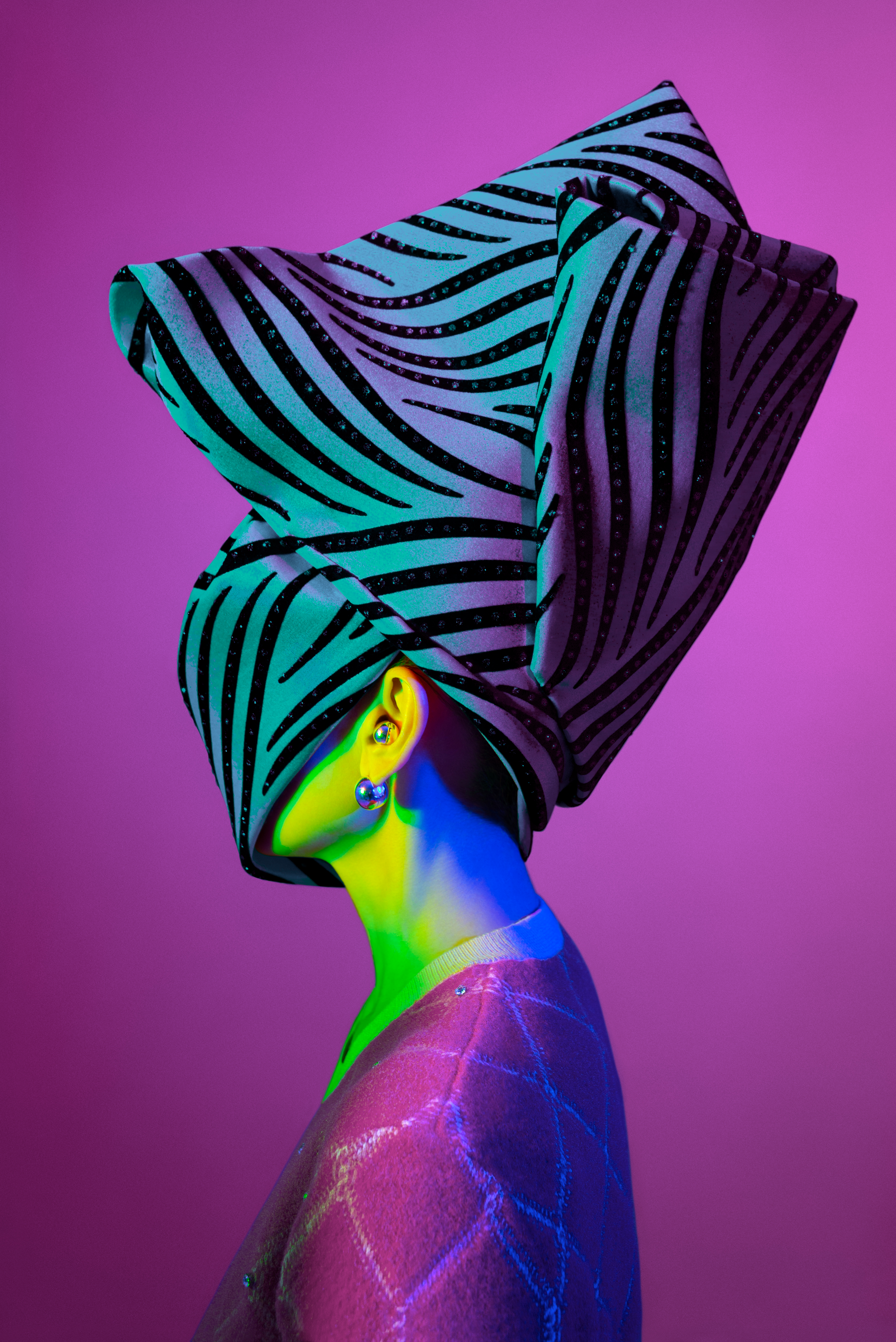 METAMORPHOSES #0214