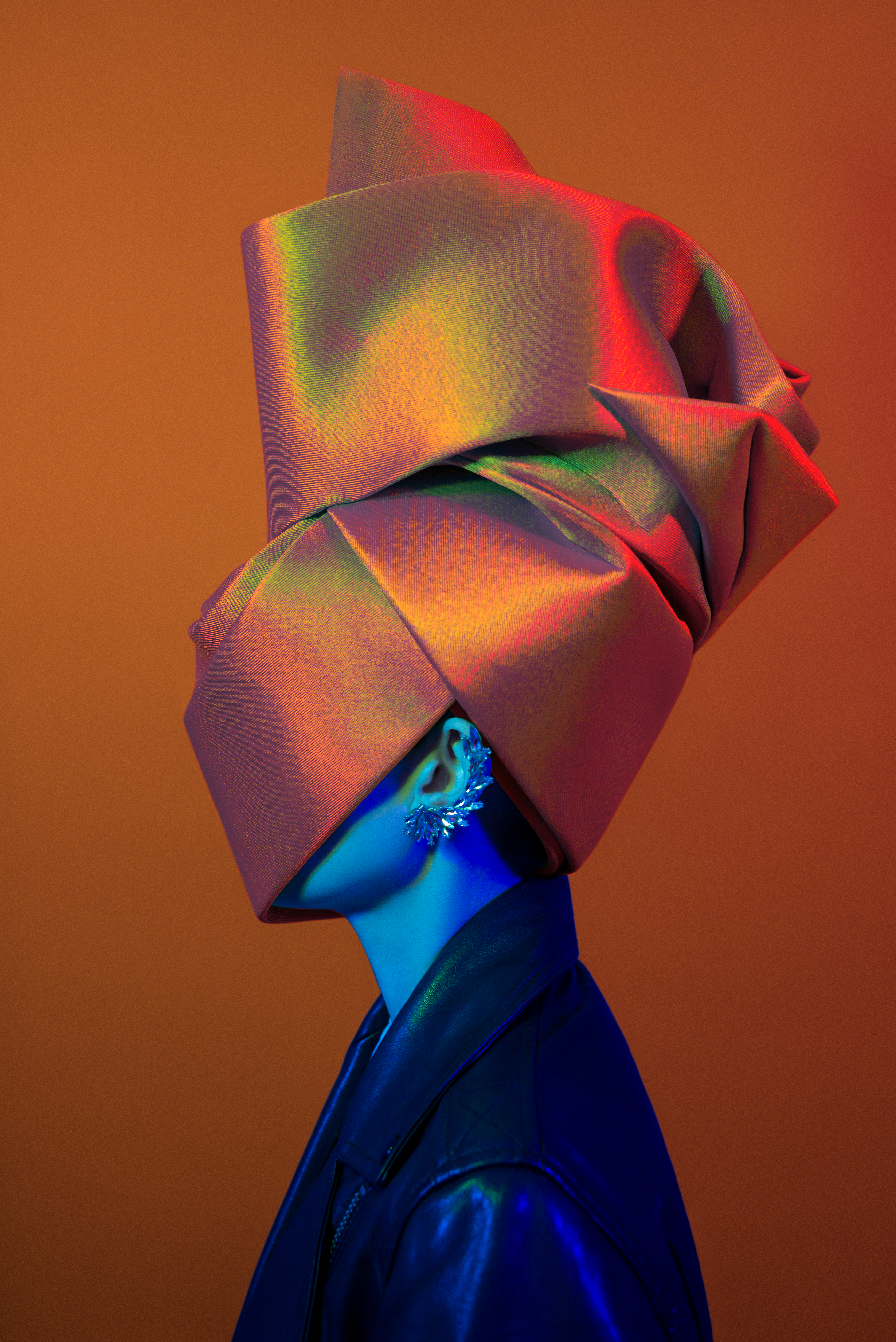 METAMORPHOSES #0221