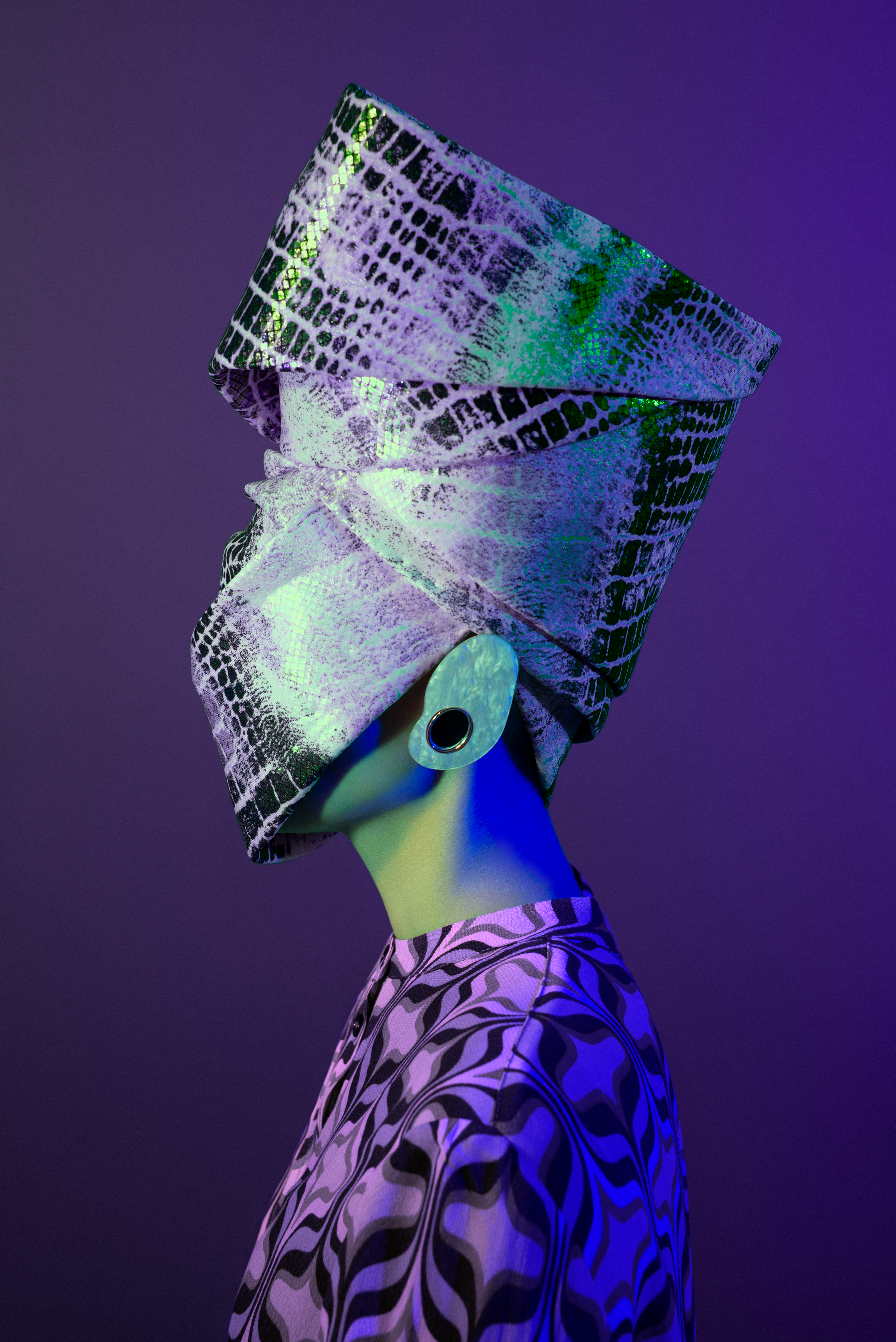 METAMORPHOSES #0485