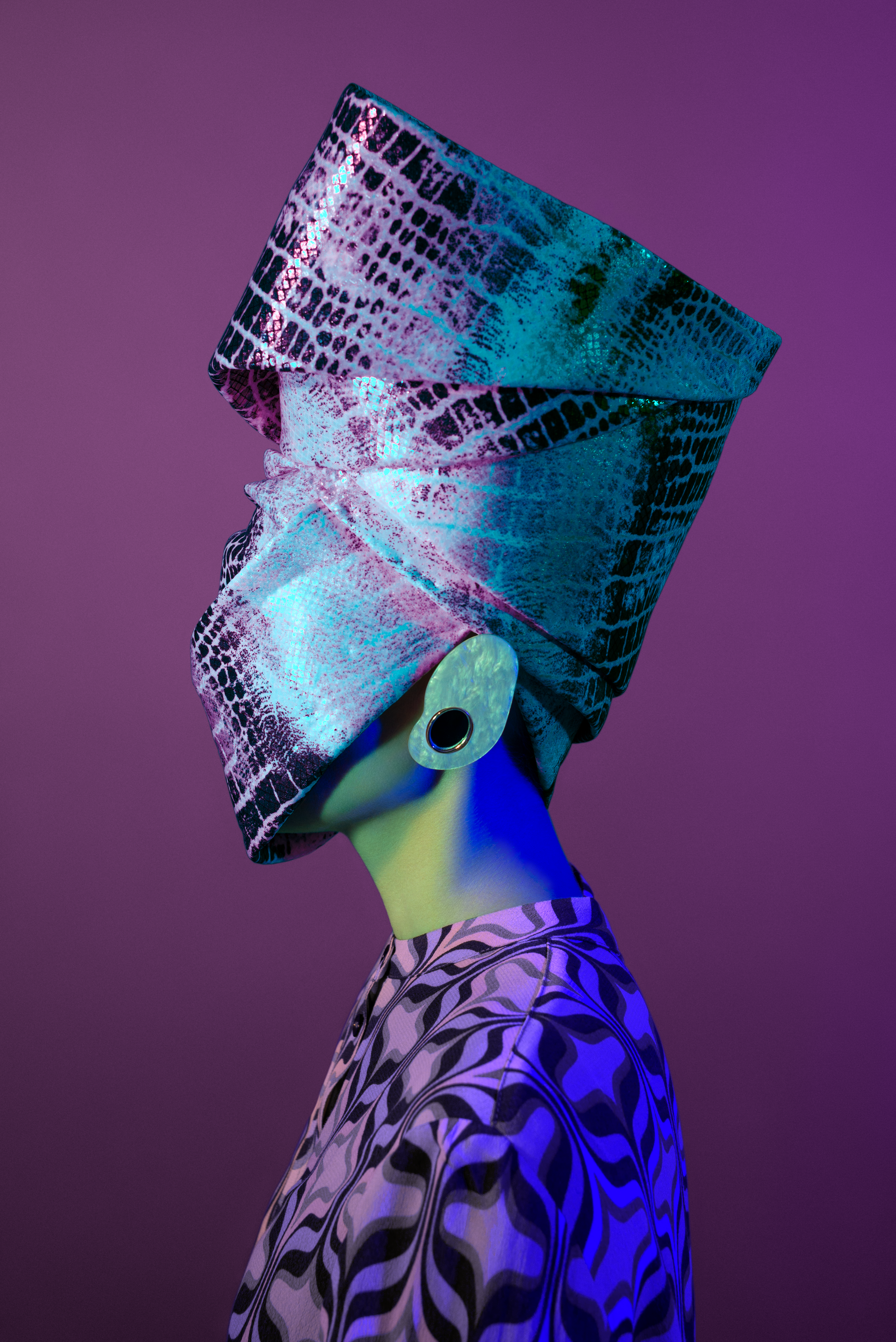 METAMORPHOSES #0486