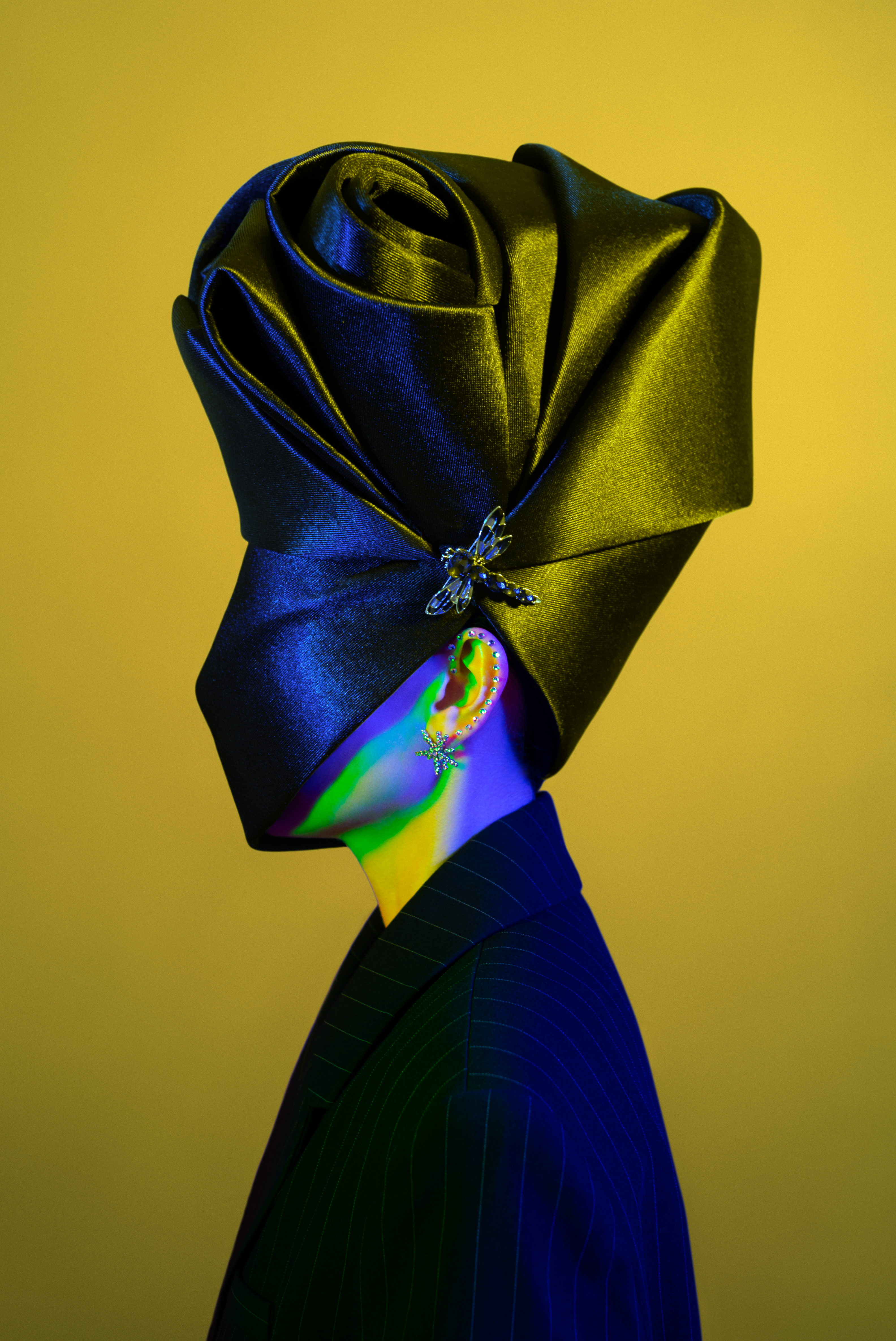 METAMORPHOSES #0507