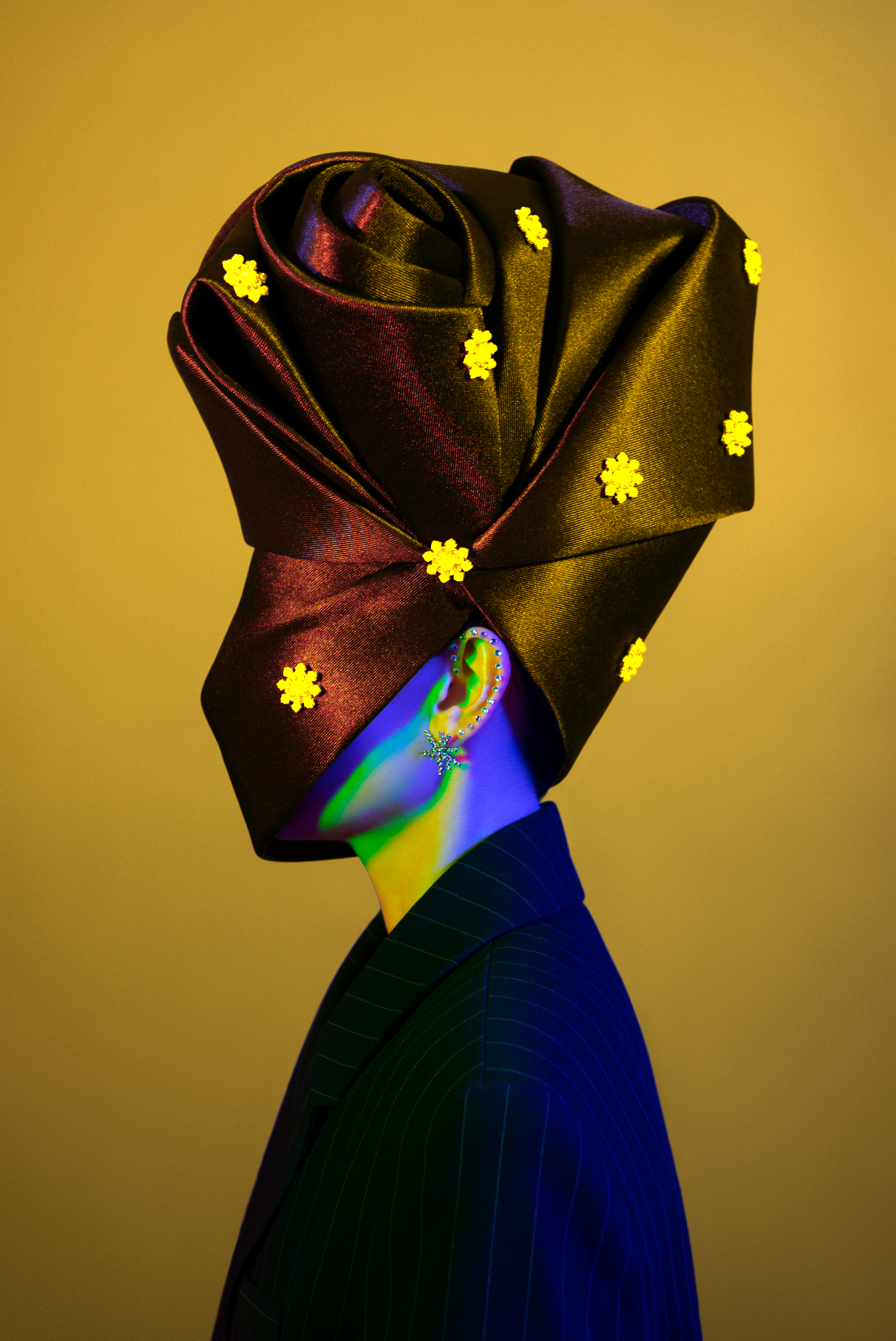 METAMORPHOSES #0514